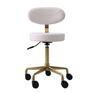 Beauty Salon Furniture Luxury Bar Working Chair Small