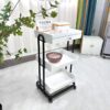 Metal Salon Trolley - Makeup Saloon Equipment Gold Pink Silver by Nova