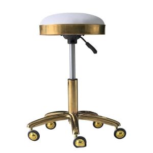 White Chair Hydraulic Rolling Chair Beauty Salon Gold Base