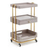 Metal Salon Trolley - Makeup Saloon Equipment Gold Pink Silver by Nova