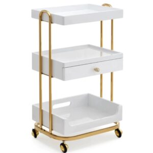 Metal Salon Trolley - Makeup Saloon Equipment Gold Pink Silver by Nova