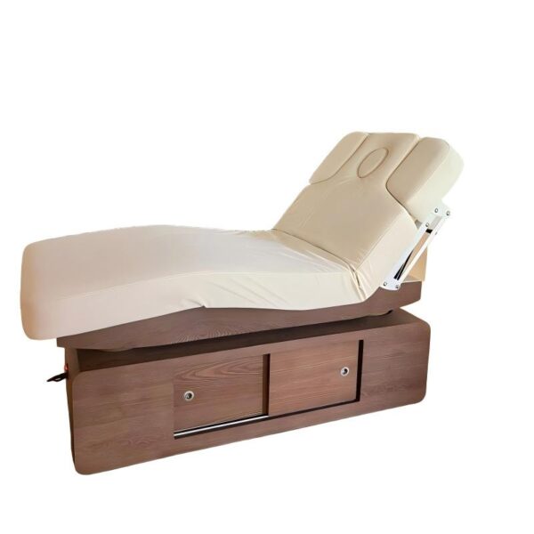 Electric Spa Treatment Equipment Full-Heated Beauty Bed with 4 Motor F... - Medical Treatment Bed | Nova Spa Equipment