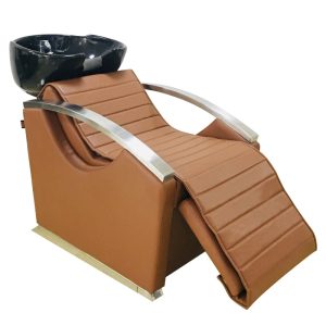 Electric Adjustable Professional Semi-Reclining Hair Salon