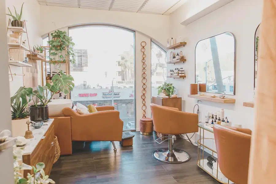 Decorate a Salon on a Budget with plants and natural elements