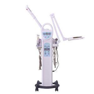 9 in 1 Multi-functional Beauty Instrument Skin Care Machine Facial Steamer with Various Facial Tools for Commercial Salon