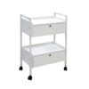 1 Esthetician Trolley Cart - Modern 2-Level Small Kitchen Equipment T by Nova