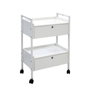 Esthetician Trolley Cart - Modern 2-Level Small Kitchen Equipment T by Nova