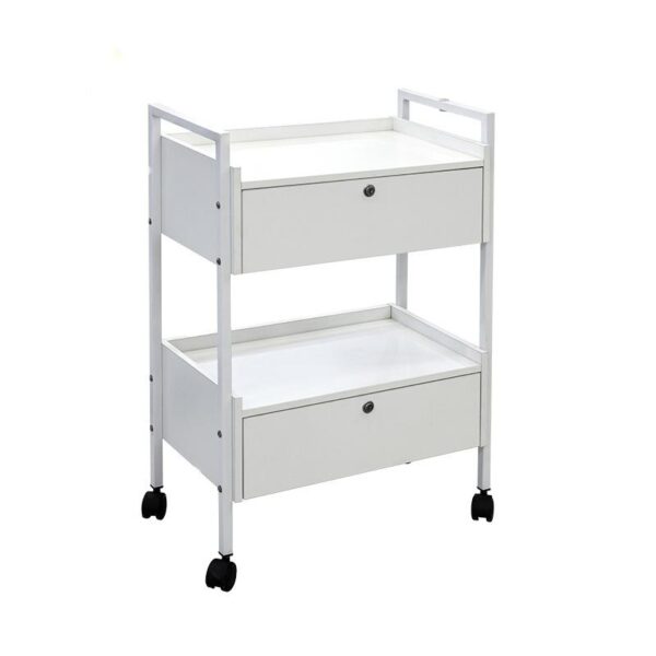 1 Esthetician Trolley Cart - Modern 2-Level Small Kitchen Equipment T by Nova