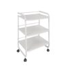 1 Metal Salon Trolley - Professional Modern Design Metal Hair Sa by Nova
