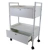 2 Esthetician Trolley Cart - Modern 2-Level Small Kitchen Equipment T by Nova