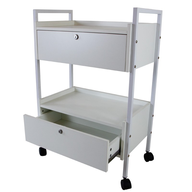 2 Esthetician Trolley Cart - Modern 2-Level Small Kitchen Equipment T by Nova