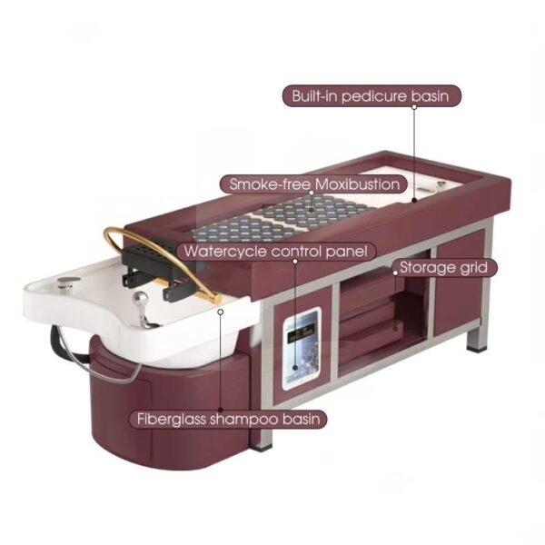 6 Professional Head Spa Bed with Thai Massage and Moxibustion