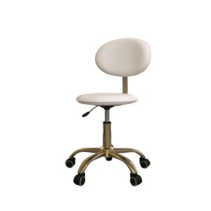 Nova Zephyr Arrival Beauty Salon Furniture Green Swivel Technicians