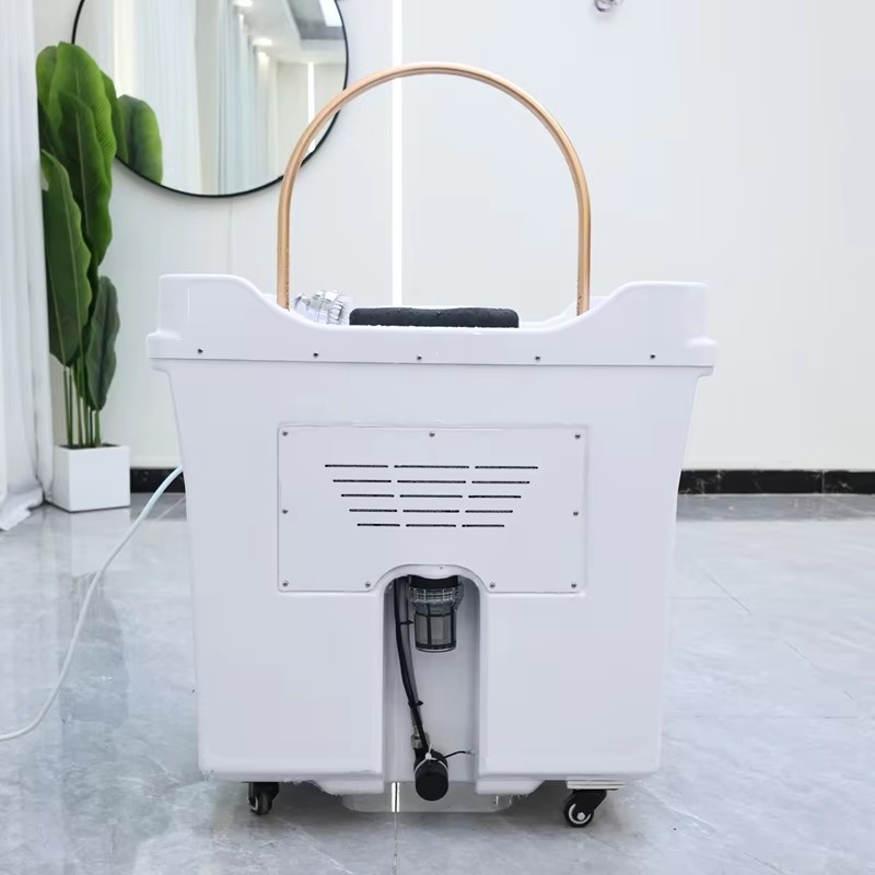 Modern Design Japanese Head Spa Basin Equipment Portable Massage Shampoo Bowl with Fumigation No Plumbing Required