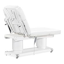 Full Electric Medical Spa Treatment Massage Table Facial Beauty Bed