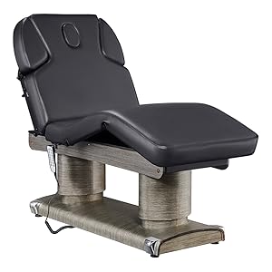 Full Electric Medical Spa Treatment Massage Table Facial Beauty Bed