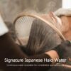 3-354 Japanese head spa bed with water circulation, steam and 7-color light therapy shampoo station