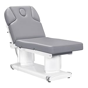 Full Electric Medical Spa Treatment Massage Table Facial Beauty Bed