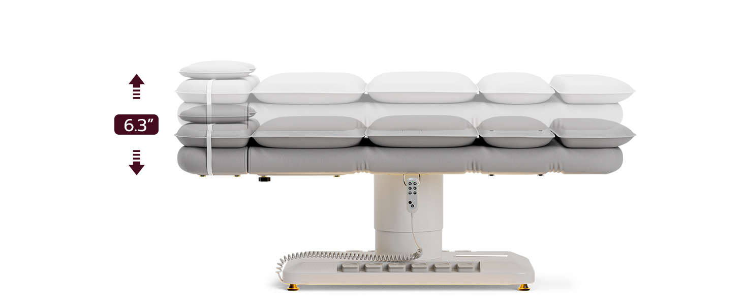 Fully Electric Massage Table w 3 Motors, Professional Angle and Height Adjustable Spa Bed Facial Chair, Motorized Esthetician Bed Treatment Table for Beauty Salon, Grey