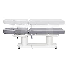 Full Electric Medical Spa Treatment Massage Table Facial Beauty Bed