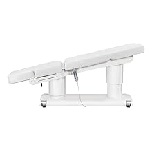 Full Electric Medical Spa Treatment Massage Table Facial Beauty Bed