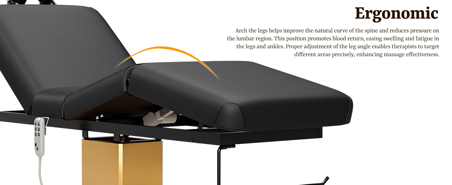 Icoget Professional Full Electric Spa Massage Treatment Table, Medical Bed with Independent Leg Adjustment, Facial Bed with Face Cradle for Beauty, Black
