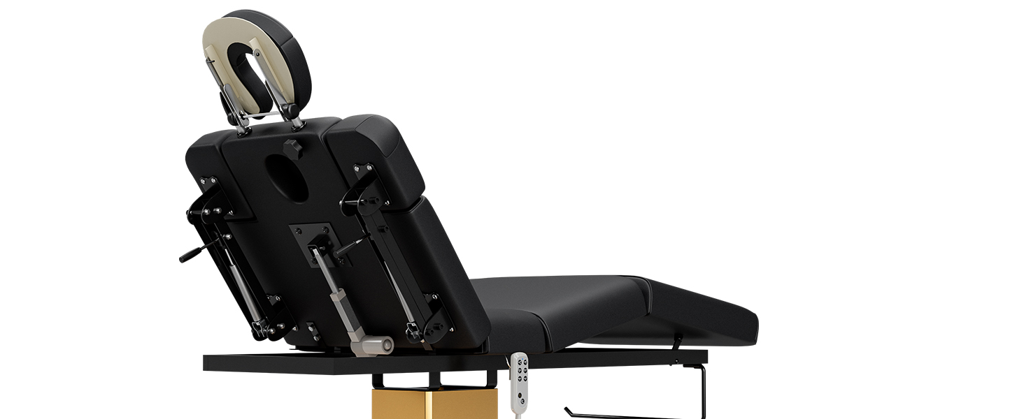 Icoget Professional Full Electric Spa Massage Treatment Table, Medical Bed with Independent Leg Adjustment, Facial Bed with Face Cradle for Beauty, Black