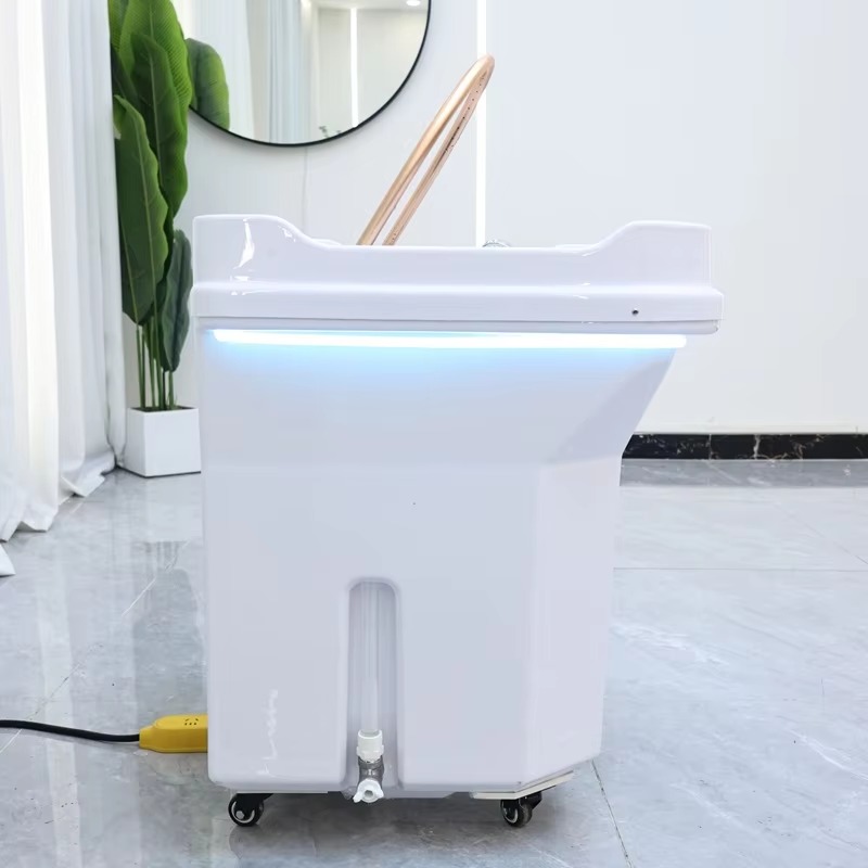 Modern Design Japanese Head Spa Basin Equipment Portable Massage Shampoo Bowl with Fumigation No Plumbing Required