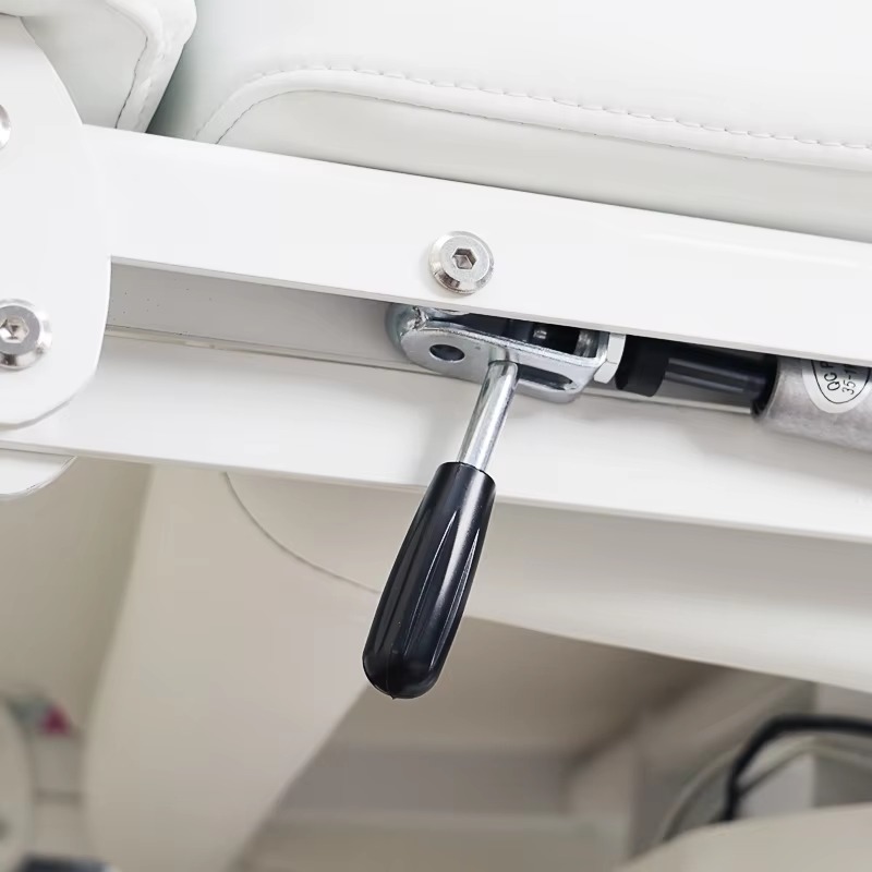 Electric Custom Beauty Bed Salon Massage with Adjustable Backrest for Facial Spa Therapy Use
