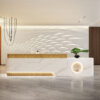 R179-主图-2 Nova Salon Equipment Product