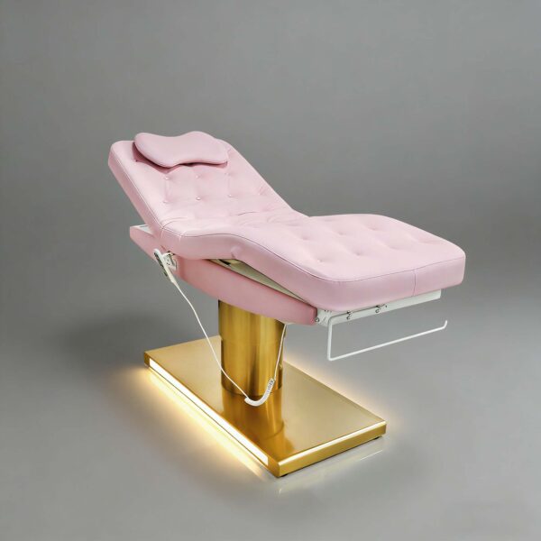 customized-electric-beauty-bed-massage-table-3-motor-eyela-05