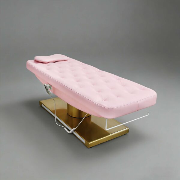 customized-electric-beauty-bed-massage-table-3-motor-eyela-09