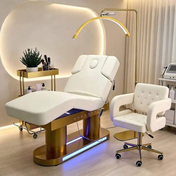 high-end-luxury-modern-beauty-salon-electric-4-motors-spa-01
