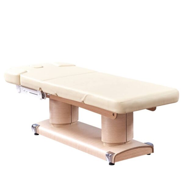 luxury-metal-frame-massage-bed-electric-table-4-motors-pu-03