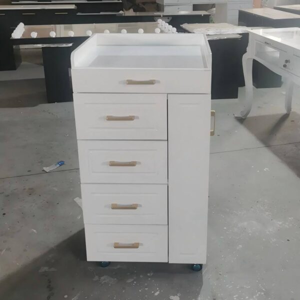 multi-function-white-salon-trolley-cart-with-drawer-hairdr-02