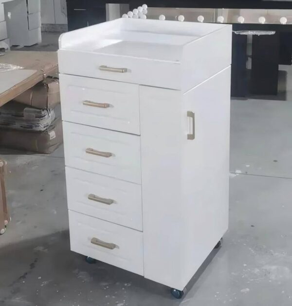 multi-function-white-salon-trolley-cart-with-drawer-hairdr-03