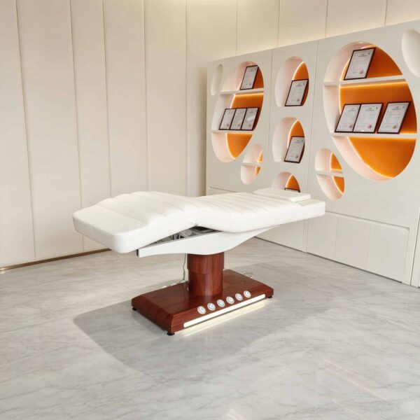 one-button-control-luxury-spa-salon-electric-heating-treat-19 one-button-control-luxury-spa-salon-electric-heating-treat-19