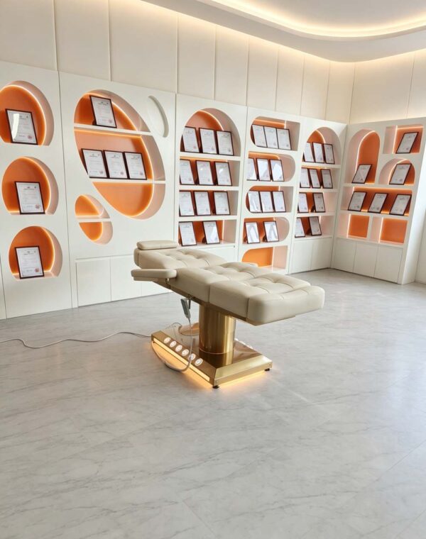 one-button-control-luxury-spa-salon-electric-treatment-mas-20 one-button-control-luxury-spa-salon-electric-treatment-mas-20