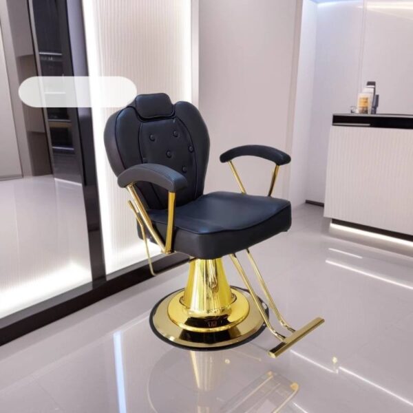 adjustable-haircutting-chair-for-barbershops-and-salons-tr-01 adjustable-haircutting-chair-for-barbershops-and-salons-tr-01