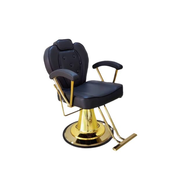 adjustable-haircutting-chair-for-barbershops-and-salons-tr-05 adjustable-haircutting-chair-for-barbershops-and-salons-tr-05
