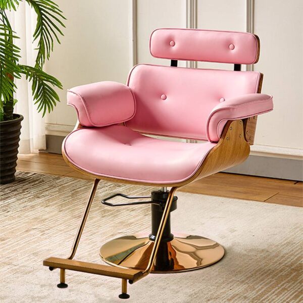 adjustable-salon-styling-chair-trendy-professional-grade-c-03 adjustable-salon-styling-chair-trendy-professional-grade-c-03