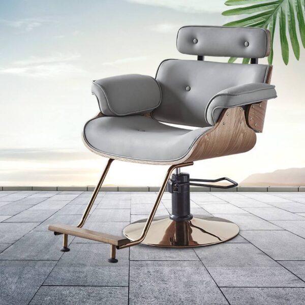 adjustable-salon-styling-chair-trendy-professional-grade-c-05 adjustable-salon-styling-chair-trendy-professional-grade-c-05