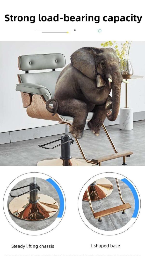 adjustable-salon-styling-chair-trendy-professional-grade-c-10 adjustable-salon-styling-chair-trendy-professional-grade-c-10