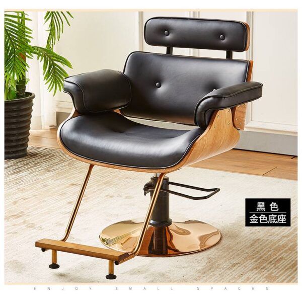 adjustable-salon-styling-chair-trendy-professional-grade-c-15 adjustable-salon-styling-chair-trendy-professional-grade-c-15