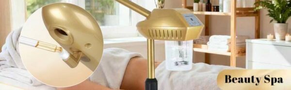 facial-steamer-beauty-device-hot-mist-sprayer-salon-grade-06