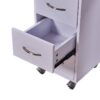 light-luxury-manicure-table-and-chair-set-with-drawers-mdf-09