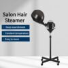 manufacturer-wholesale-mobile-vertical-hair-steamer-hair-t-01