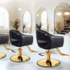 modern-minimalist-salon-chair-swivel-height-adjustable-sty-01