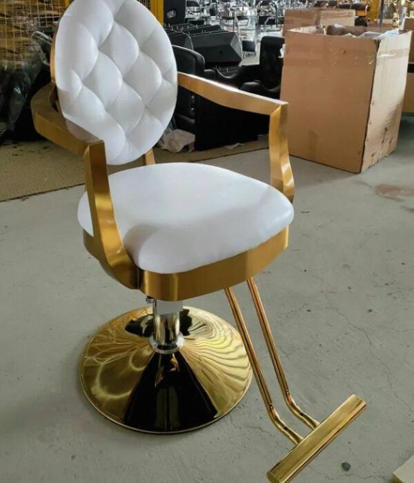 new-minimalist-modern-and-stylish-salon-chair-swiveling-an-03