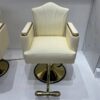 premium-salon-chair-height-adjustable-swivel-and-reclining-01